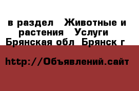  в раздел : Животные и растения » Услуги . Брянская обл.,Брянск г.